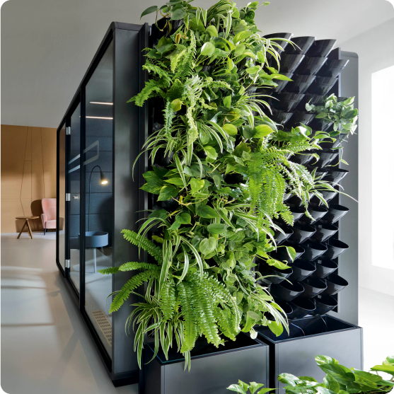 plantes-vertes-bureaux